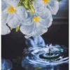 water droplet - diamond dotz intermediate dd5.019 32x35cm