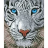 white magic - diamond dotz intermediate dd8.016 34x42cm