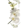 white orchid - adesivo removibile da parete