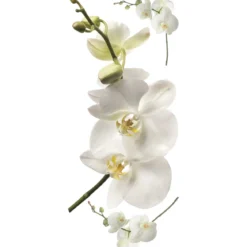 white orchid - adesivo removibile da parete