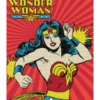 wonder woman - diamond dotz advanced cd234000210 47x57cm
