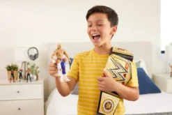 wwe championship title - un modello assortito