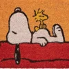zerbino - snoopy